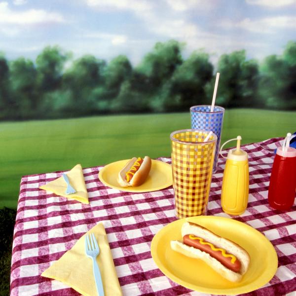 Image for event: Summer Picnic Party 