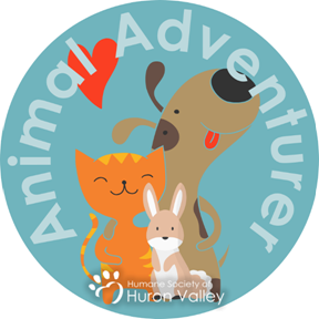 Image for event: Animal Adventurers