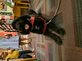 Image for event: Read to Hugo the Library Dog